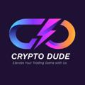 Logo saluran telegram cryptodudespublic — Crypto Dude Signals ♻️