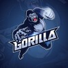Telegram channel 𝐂𝐫𝐲𝐩𝐭𝐨 𝐆𝐨𝐫𝐢𝐥𝐥𝐚 𝐂𝐚𝐥𝐥𝐬 🦍💯☎ logo