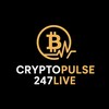 टेलीग्राम चैनल का लोगो cryptoherel — Crypto [Crypto Pulse 24/7 Live ⚡️]