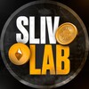Telegram channel 🔬 SlivLab 🧪 Крипто-лаборатория logo