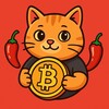 Logo of telegram channel cryptoishotmeow — HOT CRYPTO NEWS