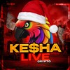 Logo of telegram channel cryptokesha_live — Live🔥 Crypto Kesha 🦜 testnet|mainnet|airdrop