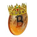 Logo saluran telegram cryptoking8235944234 — CRYPTO KING AK👑