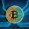 Logo of telegram channel cryptomansu — Cryptomansu