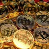 Logo of telegram channel cryptonewsforbeginners — Crypto News