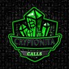 Logo of telegram channel cryptonitacalls — CryptoNita Calls