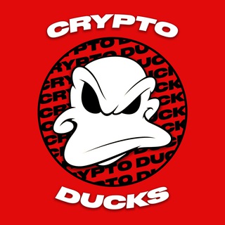 Логотип телеграм канала @cryptooduckk — крипто утки 🐤