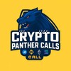 Logo of telegram channel cryptopanthercalls — 𝘾𝙧𝙮𝙥𝙩𝙤 𝙋𝙖𝙣𝙩𝙝𝙚𝙧 𝘾𝙖𝙡𝙡𝙨 📈📉