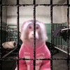 Logo of telegram channel cryptoprisonn — CryptoPrison