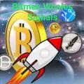 Logo saluran telegram cryptopumpbreakoutsignals — Binance Crypto Pump Breakout Signals