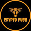 Logo saluran telegram cryptopushsignal — CRYPTO PUSH SIGNAL 🚀