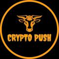 Logo saluran telegram cryptopushsignal — CRYPTO PUSH SIGNAL 🚀