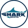 Логотип телеграм -каналу cryptosharck — Crypto SHARK 🦈
