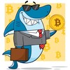 Логотип телеграм -каналу cryptoshark2024 — Crypto Shark UA🇺🇦