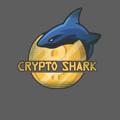 Logo saluran telegram cryptosharksmargin — Hustlers trading university of Crypto Sharks 🦈🦈🦈