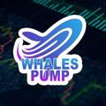 Telegram channel Whales Calls 🐳 logo
