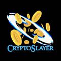 Logo of telegram channel cryptoslayerinfo — CryptoSlayer®