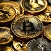 Логотип телеграм канала @cryptosnitchinvest23 — Крипта и инвестиции