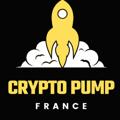 Logo saluran telegram cryptospumpsfra — 🚀 CryptoPump FR 🇫🇷