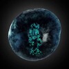Логотип телеграм канала @cryptosxozy — Crypt'o TON 🐸 Sxozy