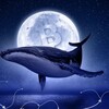 Логотип телеграм канала @cryptotradingnew — Криптокиты 🐳