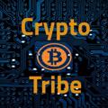Logo des Telegrammkanals cryptotribe - 🔥 CRYPTO TRIBE 💡
