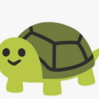 Логотип телеграм канала @cryptoturtle1 — крипточерепаха