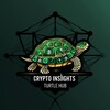 Logo of telegram channel cryptoturtlehub — Crypto Insights Turtle Hub