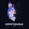 Логотип телеграм канала @cryptovolknews — Crypto Volk-News