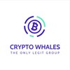 Logo of telegram channel cryptowhales900x — Crypto Whales