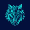 Logo of telegram channel cryptowolvesuae — Crypto Wolves