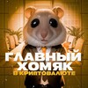 Логотип телеграм канала @cryptoxomyax — Поиграем? 🎰