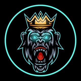 Logo of telegram channel crypyo_gorilla_gems — 𝘾𝙧𝙮𝙥𝙩𝙤 𝙂𝙤𝙧𝙞𝙡𝙡𝙖 𝙁𝙞𝙣𝙖𝙣𝙘𝙚