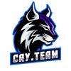 Логотип телеграм канала @cryteamru — CRYTEAM