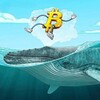 Логотип телеграм канала @cryyptoowhale — Crypto Whale🐳