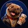 Логотип телеграм канала @csdogtiktok — CSDOG TikTok