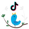 Telegram channel Twitter и TikTok logo