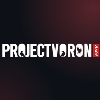 Telegram channel ЦСП🇷🇺ВОРОН logo