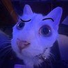 Логотип телеграм канала @csvsjshxgxhxdjdb — в коломне любят..