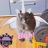 Telegram channel 𝙲𝚊c𝚜𝚊sal🤣🤣✌️✌️👻 logo