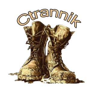 Логотип телеграм канала @ctrannik71 — Лёша Странник | ctrannik71