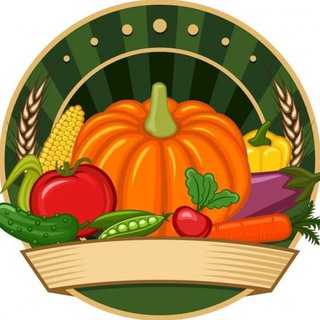 Telegram channel Cucina Naturale logo