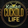 Логотип телеграм канала @cuckoldlife69 — КУКОЛД-LIFE канал