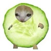 Логотип телеграм канала @cucumber720 — огурчк вещает [69 ]