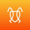 Logo of telegram channel cukkanews — ANT NEWS