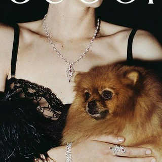 Логотип телеграм канала @cultofashioon — Cult of fashion