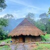 Логотип телеграм канала @cumbres_de_arutam — Ретритный центр ‘Cumbres de Arutam’ Айяуаска Эквадор
