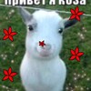 Telegram channel полина камневедова logo