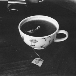 لوگوی کانال تلگرام cup_tea0 — كوب شاي
