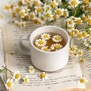 Логотип телеграм канала @cupoftea_garden — Чай в саду☕️🍂